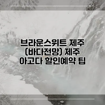 브라운스위트 제주 (바다전망) 제주 아고다 할인예약 팁