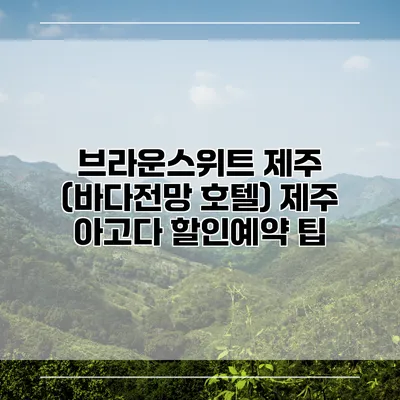 브라운스위트 제주 (바다전망 호텔) 제주 아고다 할인예약 팁