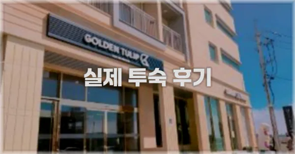 💬 실제 투숙 후기