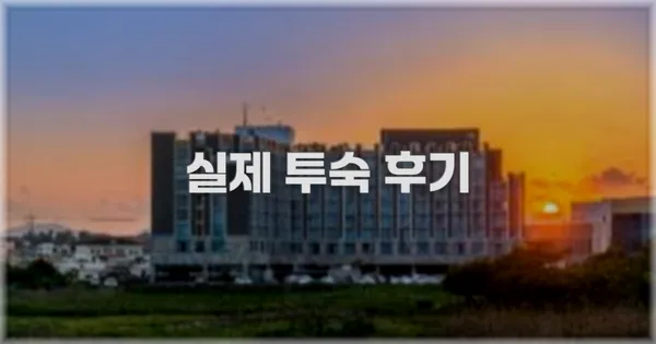 💬 실제 투숙 후기