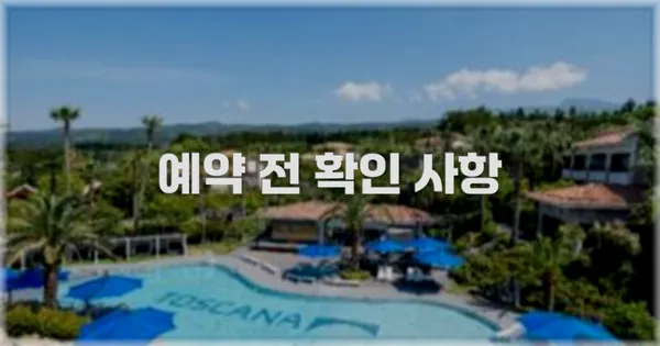 예약 전 확인 사항