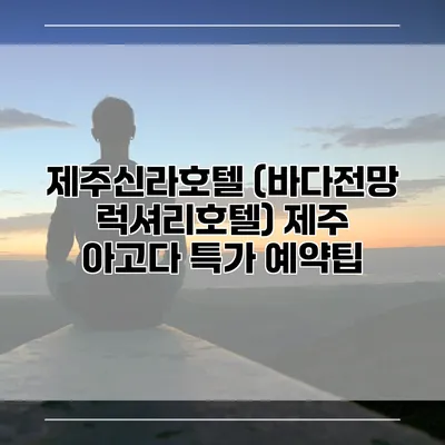 제주신라호텔 (바다전망 럭셔리호텔) 제주 아고다 특가 예약팁