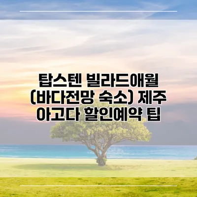 탑스텐 빌라드애월 (바다전망 숙소) 제주 아고다 할인예약 팁