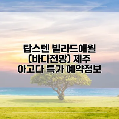 탑스텐 빌라드애월 (바다전망) 제주 아고다 특가 예약정보