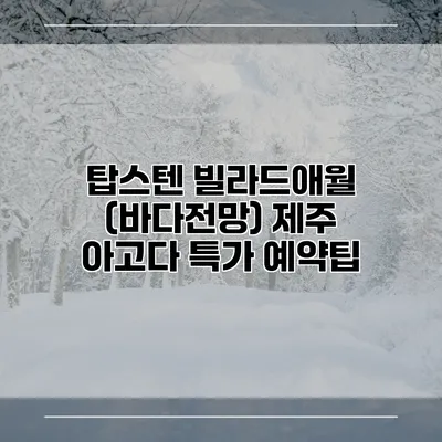 탑스텐 빌라드애월 (바다전망) 제주 아고다 특가 예약팁