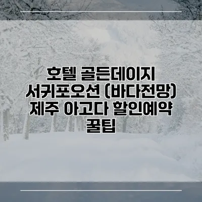호텔 골든데이지 서귀포오션 (바다전망) 제주 아고다 할인예약 꿀팁