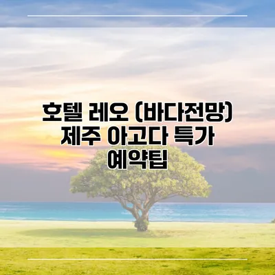 호텔 레오 (바다전망) 제주 아고다 특가 예약팁