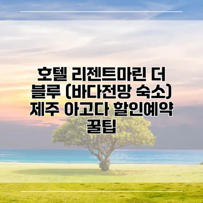 호텔 리젠트마린 더 블루 (바다전망 숙소) 제주 아고다 할인예약 꿀팁