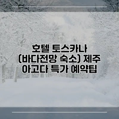 호텔 토스카나 (바다전망 숙소) 제주 아고다 특가 예약팁