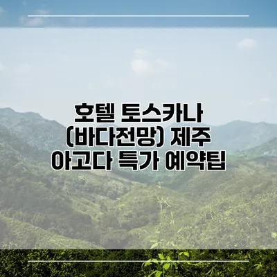 호텔 토스카나 (바다전망) 제주 아고다 특가 예약팁